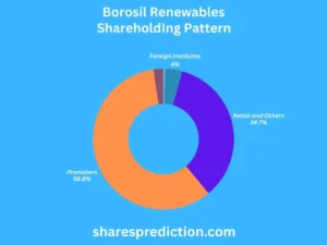 Borosil Renewables Share Price Target shareholdings
