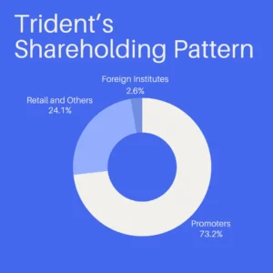 Trident Share Price Target