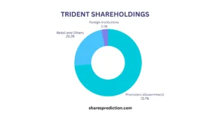 suzlon share price target shareholding