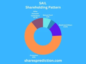 SAIL Share Price Target shareholdings