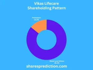 Vikas Lifecare Share Price Target shareholdings