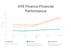 AYE Finance Financial Performance