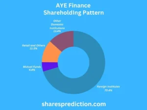 Aye finance share price target shareholding pattern