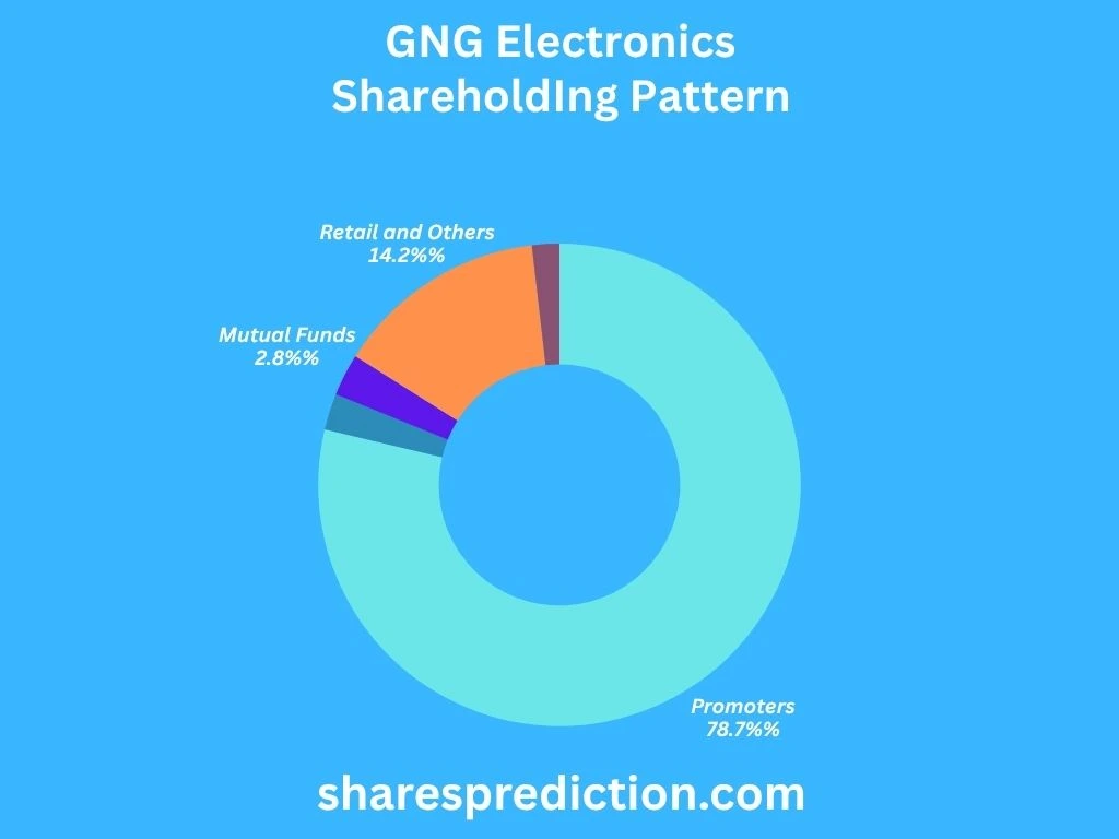 GNG Electronics Shareholding Pattern