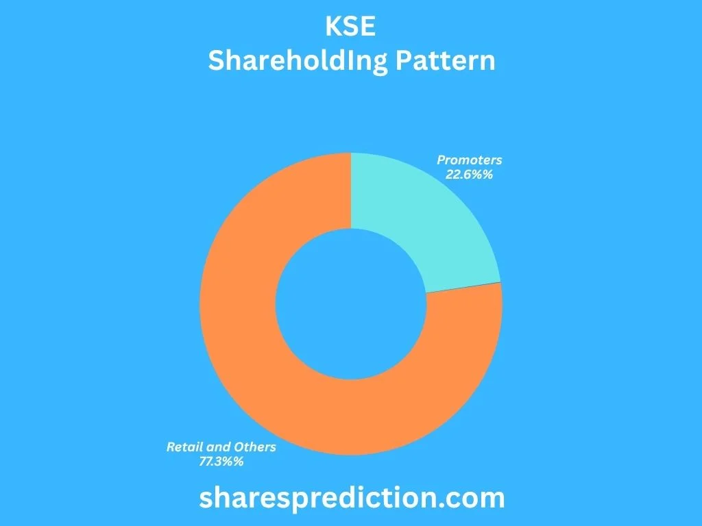 KSE Shareholding Pattern