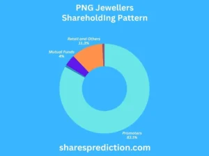 PNG Jewellers share price target shareholding pattern