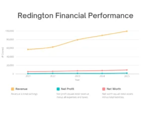 Redington share price target Financial Performance