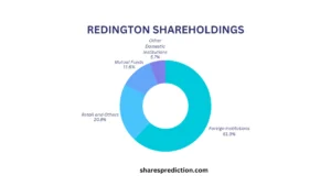 Redington share price target shareholdings