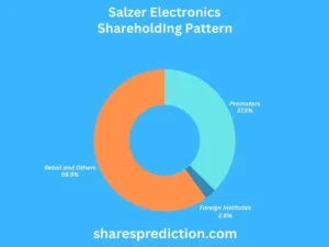 Salzer electronics share price target shareholding pattern