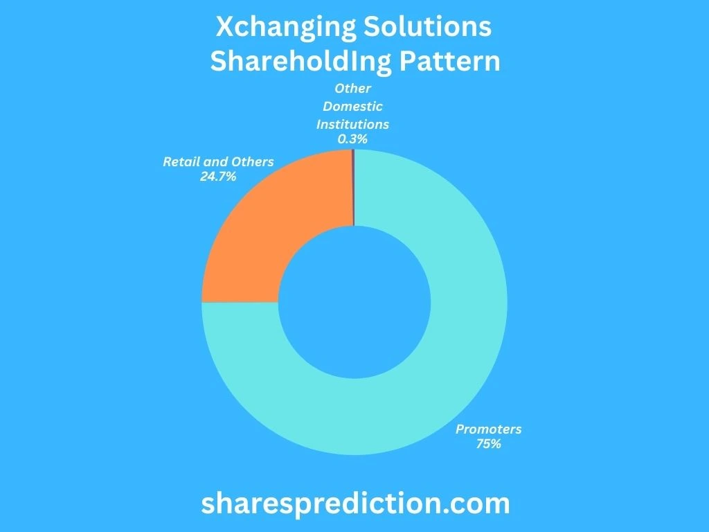 Xchanging Solutions Financial Performance
