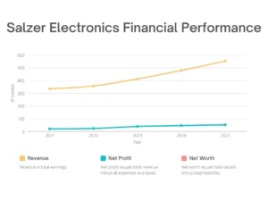 salzer electronics share price target finincial performance