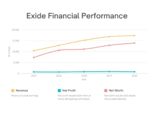 Exide share price target Financial Performance