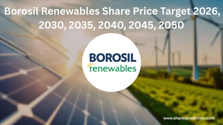 borosil renewables share price target