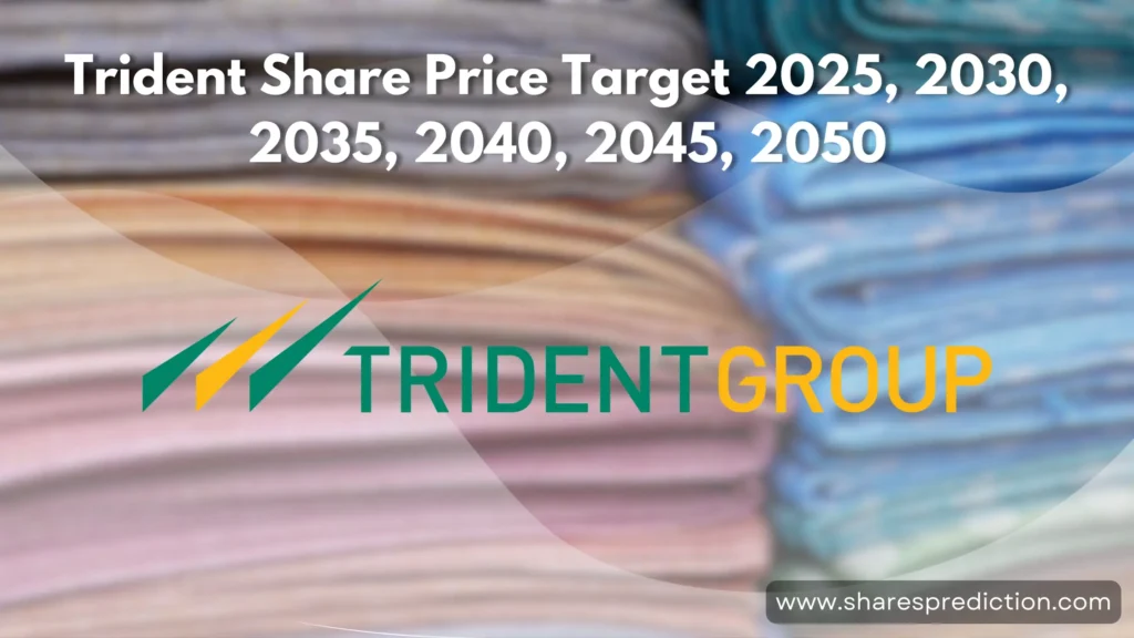 Trident Share Price Target