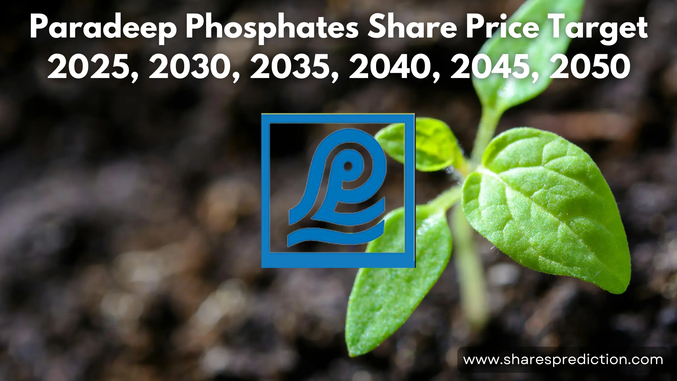 Paradeep Phosphates Share Price Target