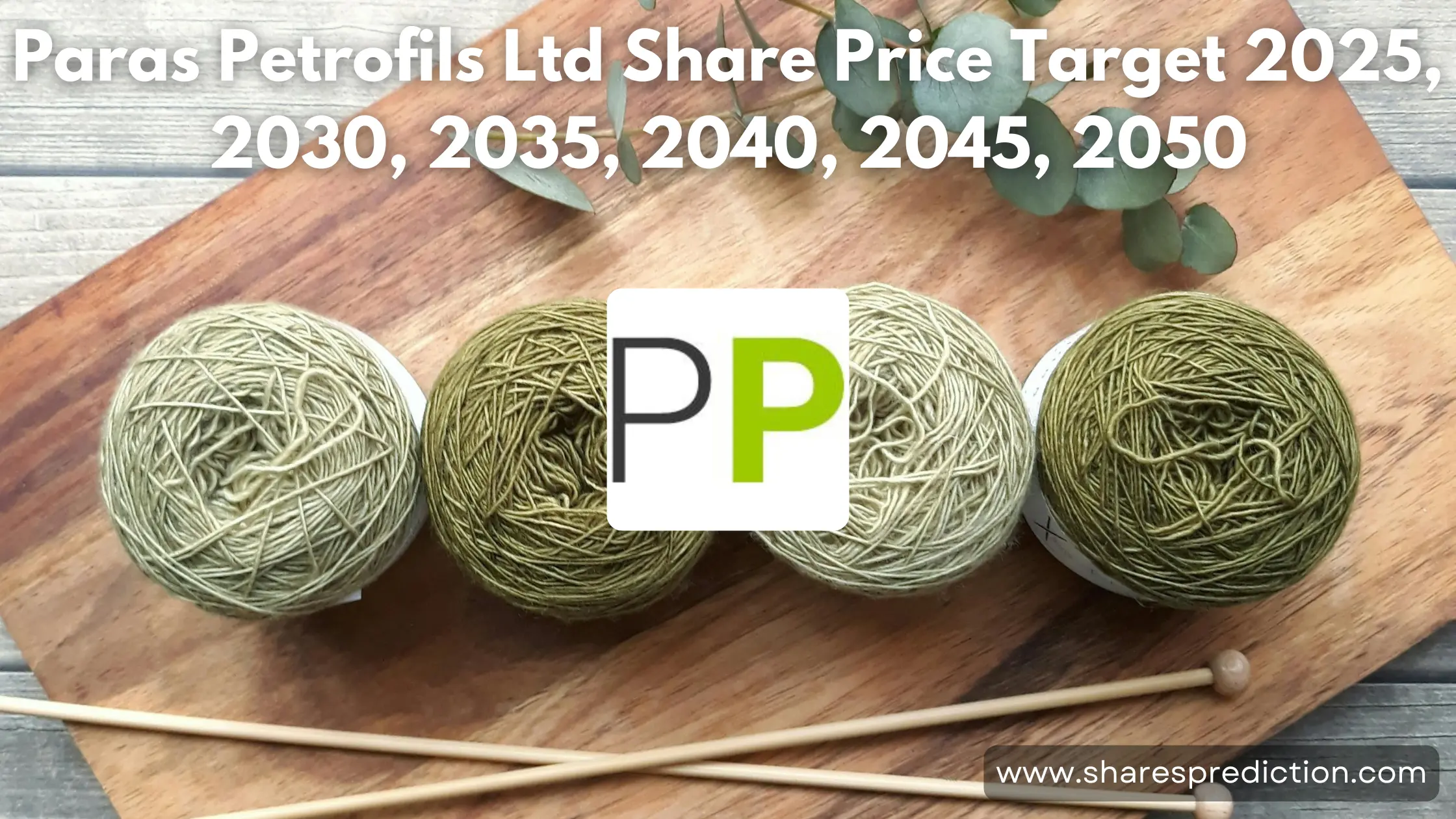 Paras Petrofils Ltd Share Price Target