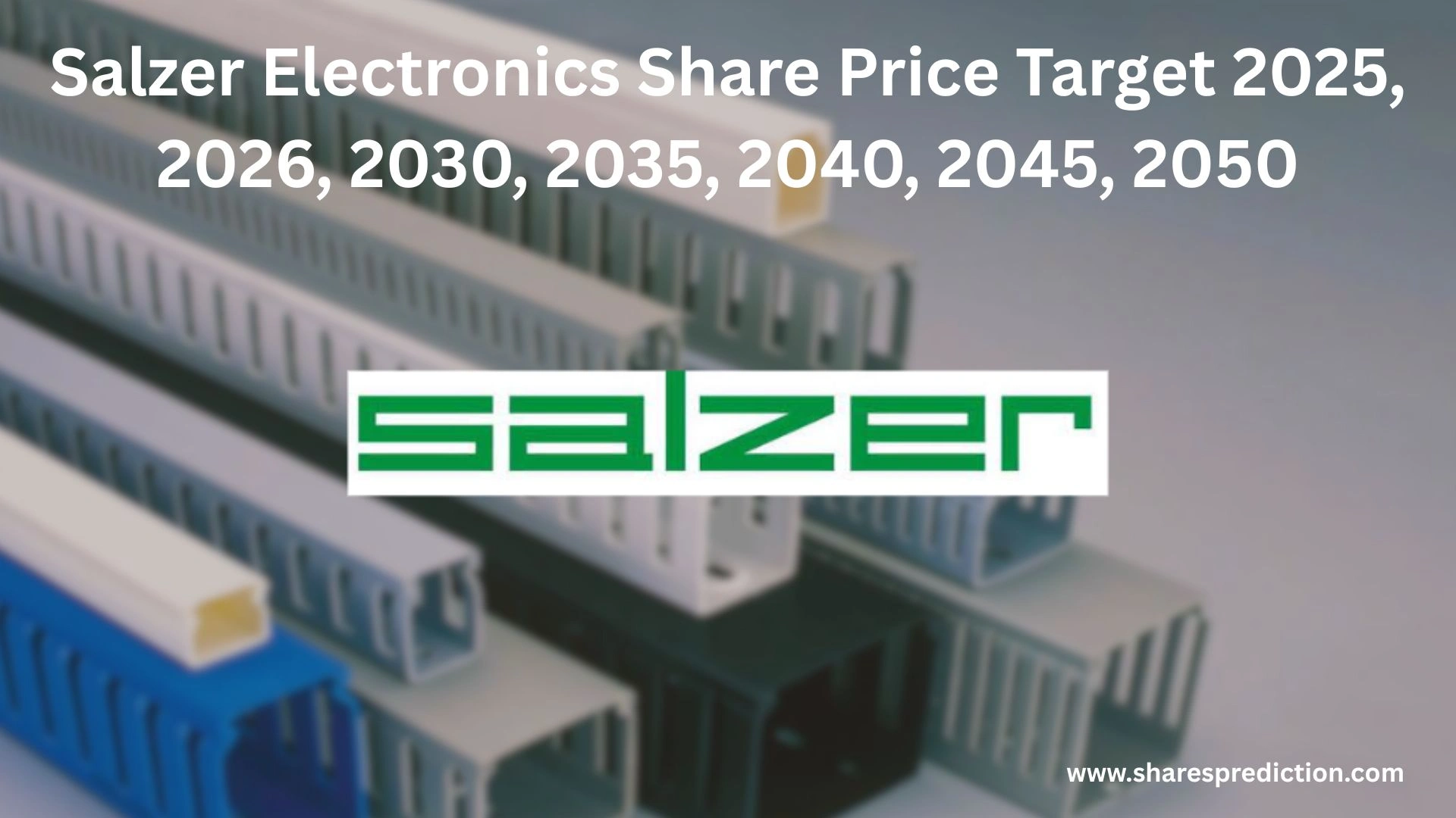 Salzer Electronics Share Price Target 2025, 2026, 2030, 2035, 2040, 2045, 2050 Featured Image